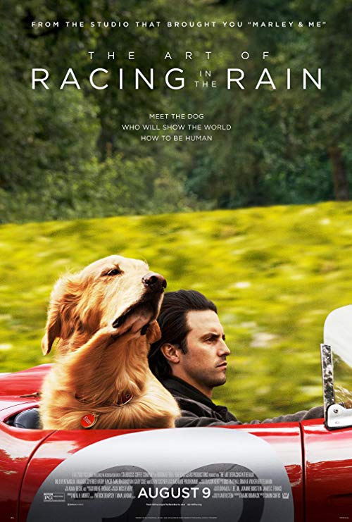 دانلود فیلم هنر مسابقه در باران The Art of Racing in the Rain 2019 با زیرنویس فارسی چسبیده