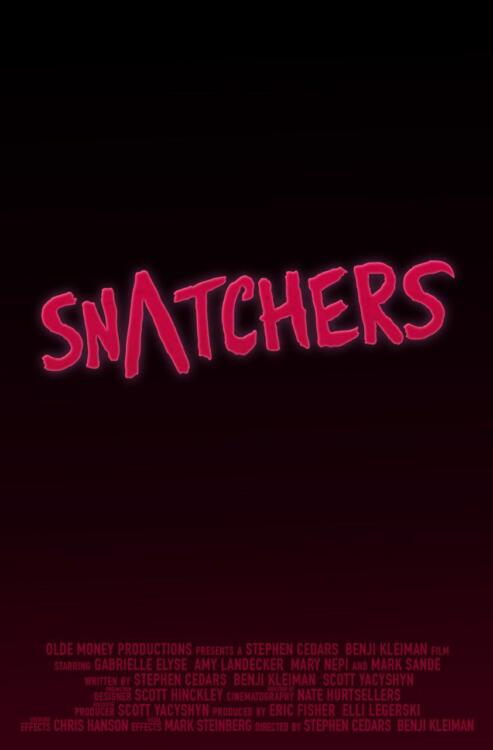 دانلود فیلم Snatchers 2019