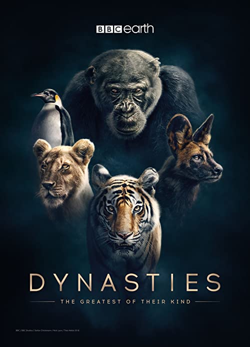 دانلود مستند Dynasties
