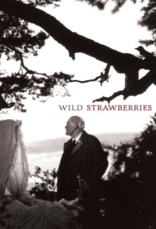 دانلود فیلم Wild Strawberries 1957 با زیرنویس فارسی چسبیده