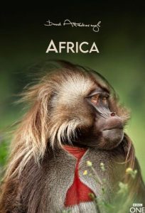 دانلود مستند Africa با زیرنویس فارسی چسبیده
