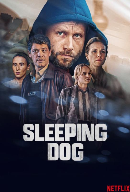 دانلود سریال Sleeping Dog (Schlafende Hunde) با زیرنویس فارسی چسبیده
