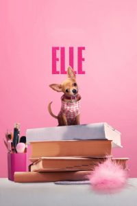 دانلود سریال Elle با زیرنویس فارسی چسبیده