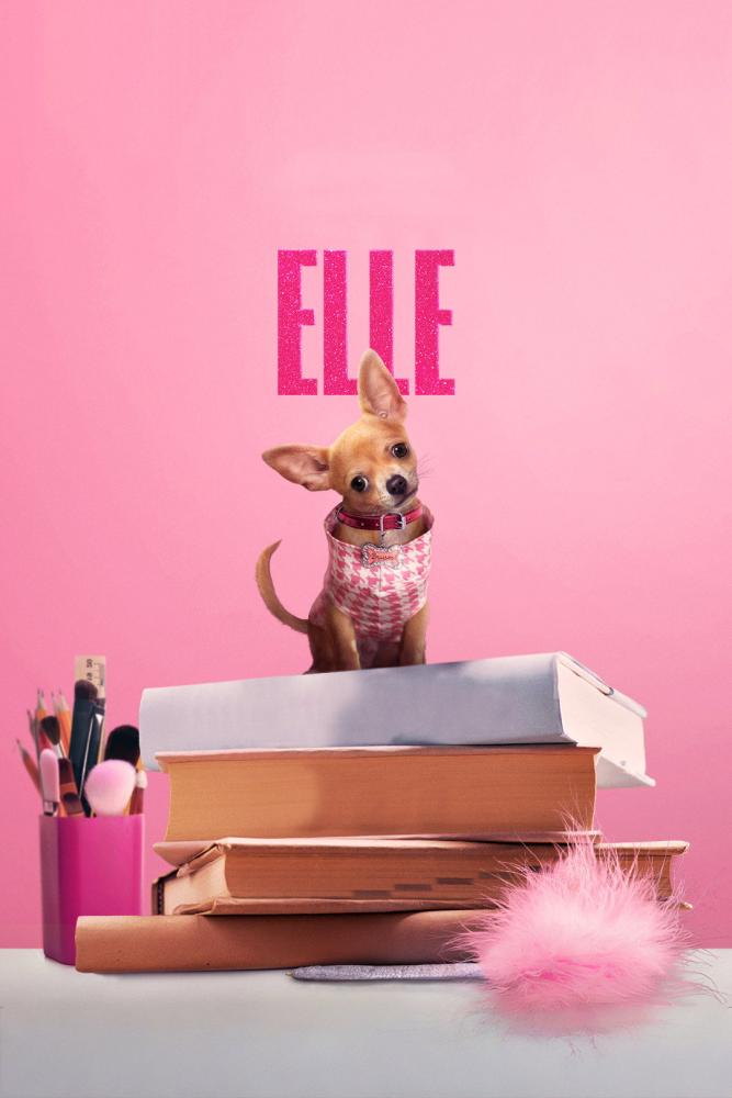 دانلود سریال Elle با زیرنویس فارسی چسبیده